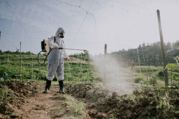 Best Affordable Pest Control Services  in Lionville, PA