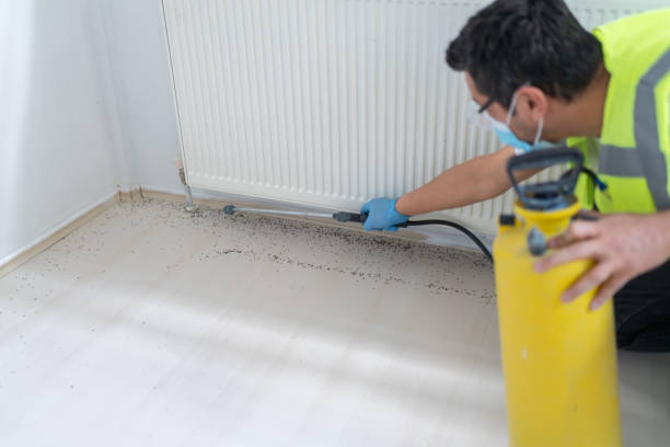 Best Affordable Exterminators  in Lionville, PA